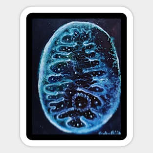 Mitochondrial structure Sticker